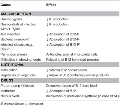 Vitamin B12 Intake From Animal Foods, Biomarkers, and Health Aspects